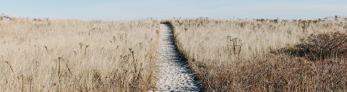 le chemin