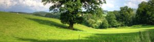 La sophrologie dans le Jura - Lons-le-Saunier